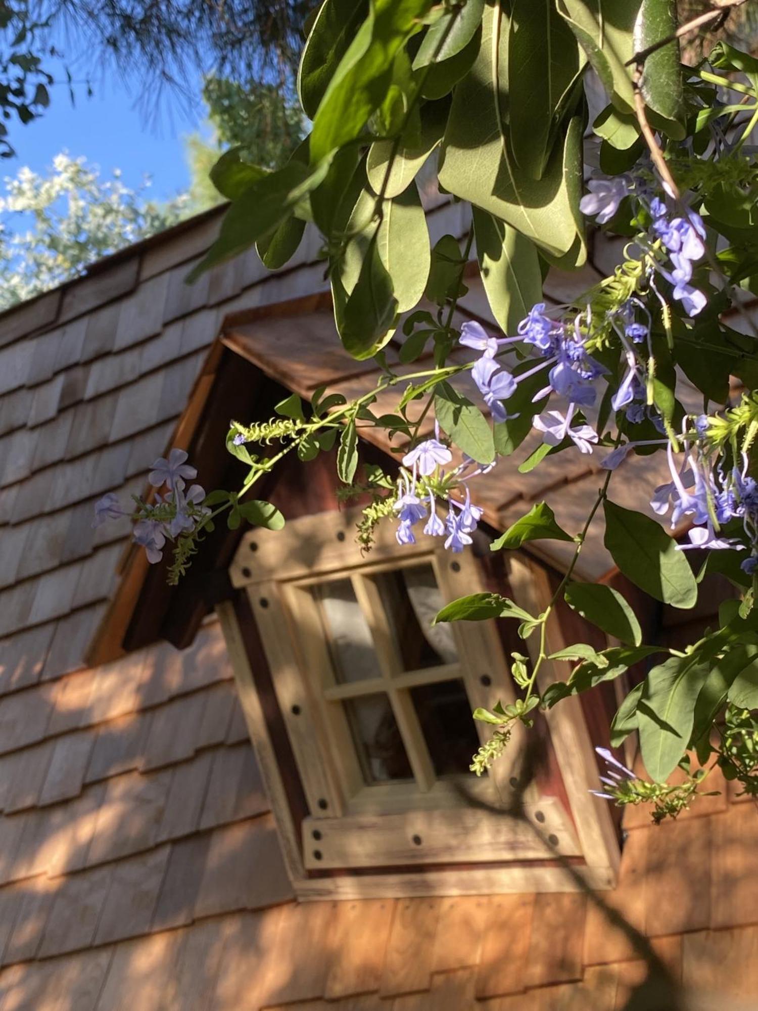 Bed and Breakfast Mas Del Flor Villelongue-dels-Monts Zimmer foto